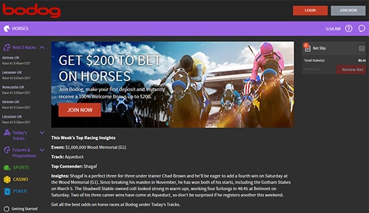 Bodog Deposit