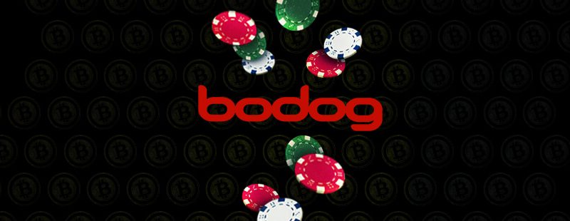 Bodog Poker App Bodog Poker App